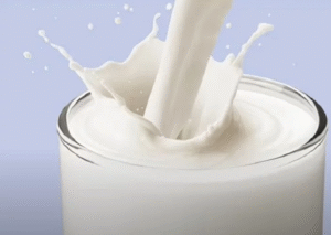 laticínios e saude óssea